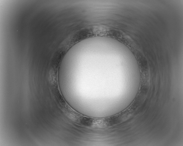 X0000072960705200607282256