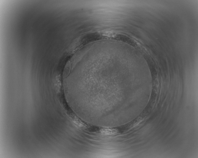 X0000072960707200607282256