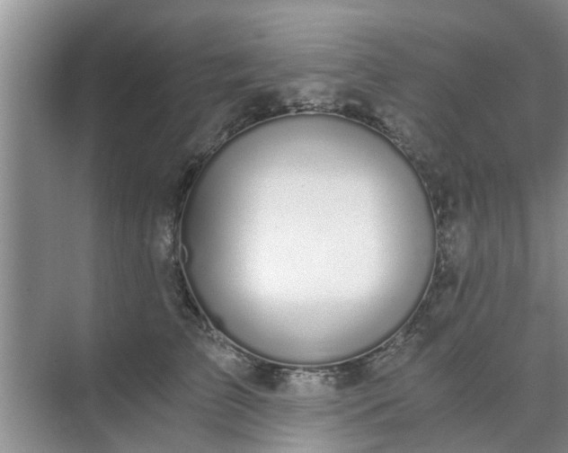 X0000072960709200607282256