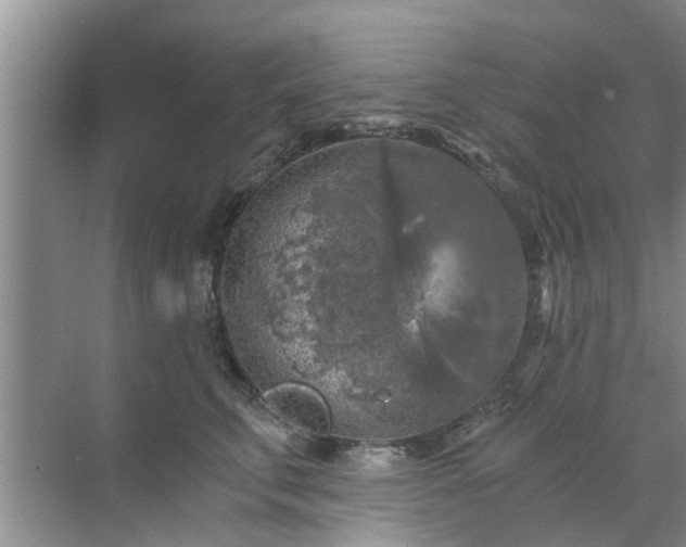 X0000072960711200607282256