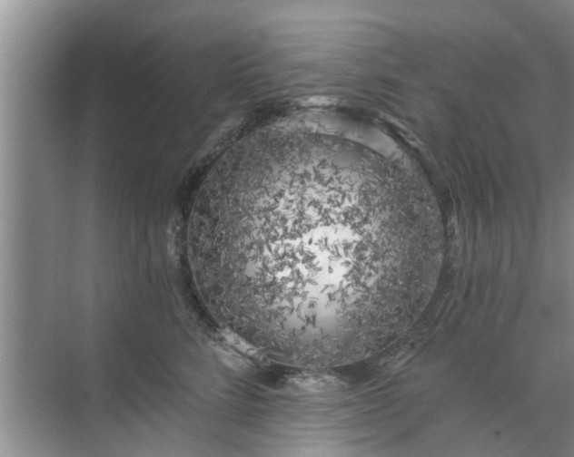 X0000072960712200607282256