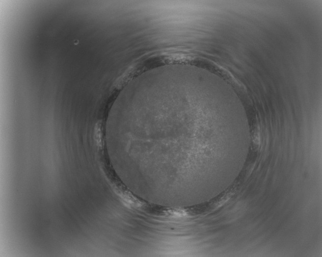 X0000072960715200607282256