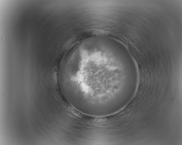 X0000072960716200607282256