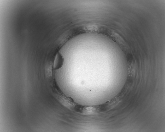 X0000072960717200607282256