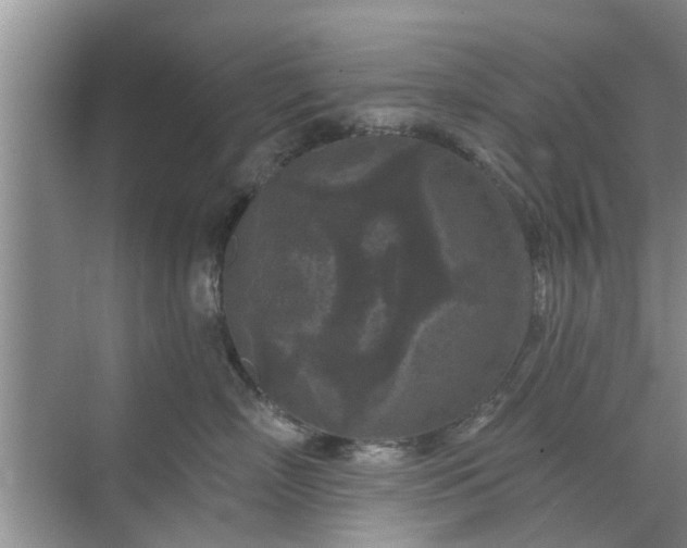 X0000072960718200607282256