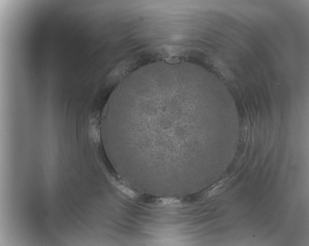 X0000072960719200607282256