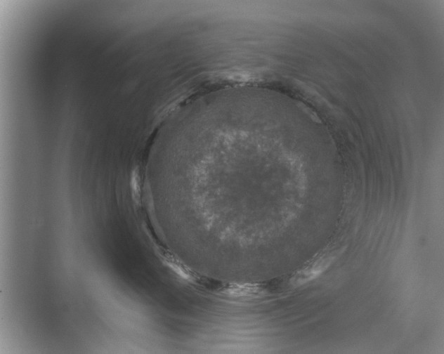 X0000072960720200607282256