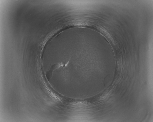 X0000072960721200607282255