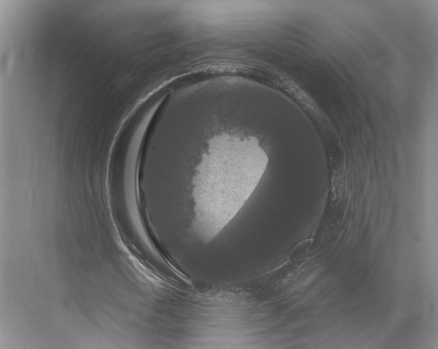 X0000072960722200607282255