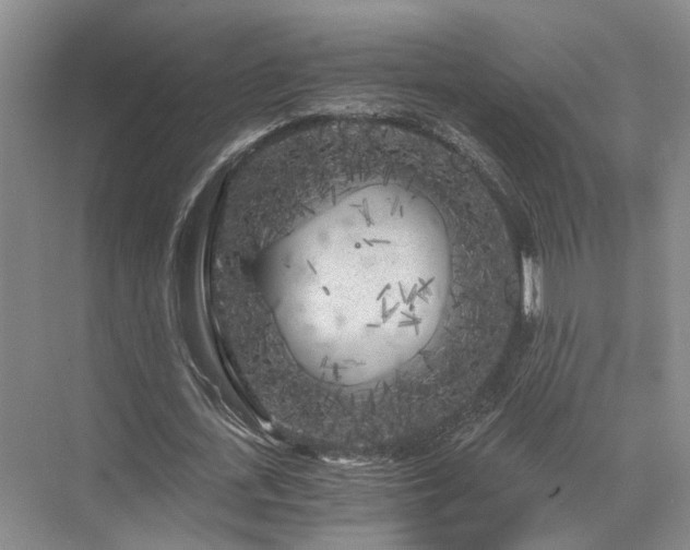 X0000072960723200607282255