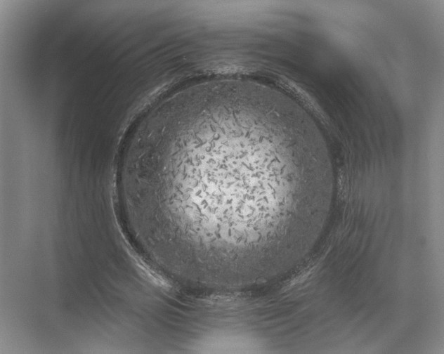 X0000072960725200607282255