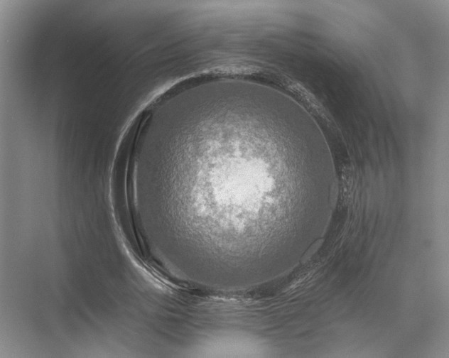 X0000072960726200607282255