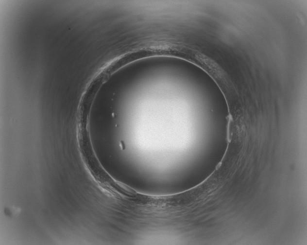 X0000072960728200607282255