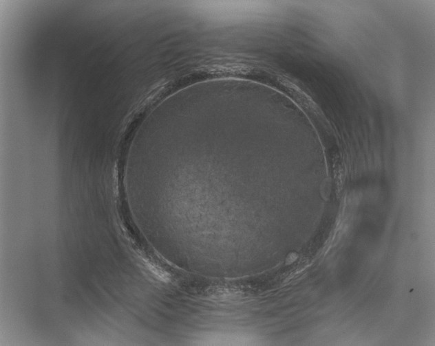 X0000072960729200607282255