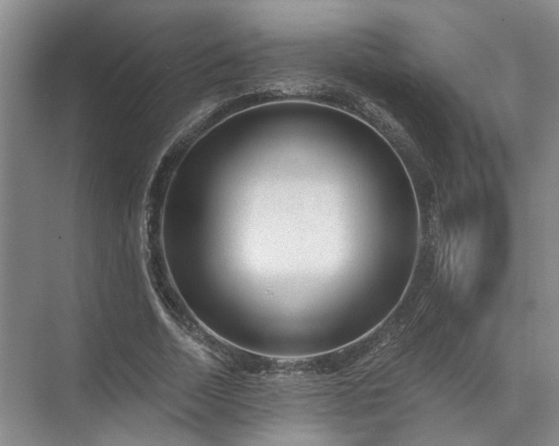 X0000072960730200607282255