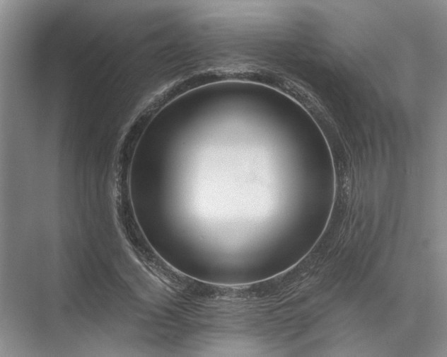 X0000072960732200607282255