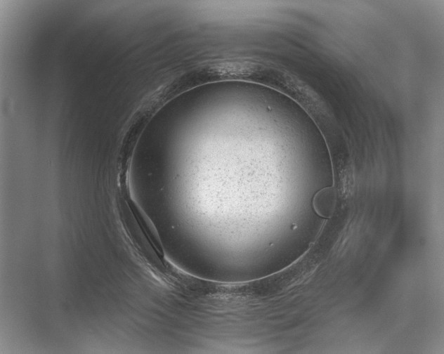 X0000072960733200607282255