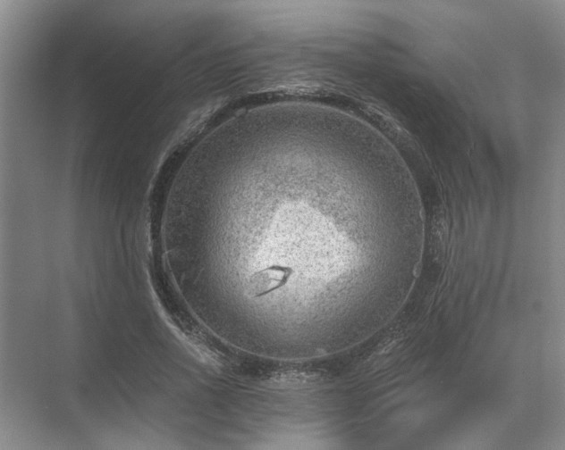 X0000072960734200607282255