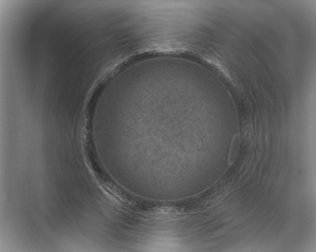 X0000072960736200607282255