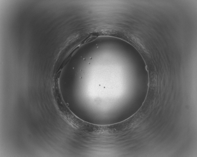 X0000072960738200607282255