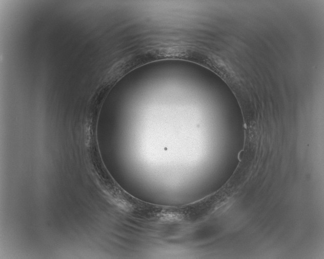 X0000072960741200607282255