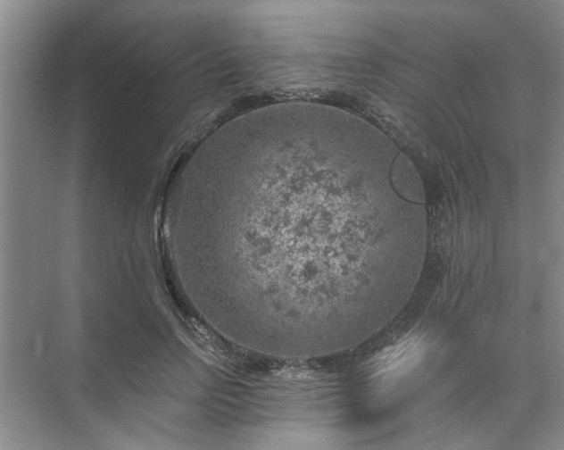 X0000072960742200607282255