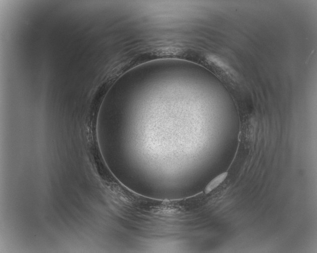 X0000072960743200607282255