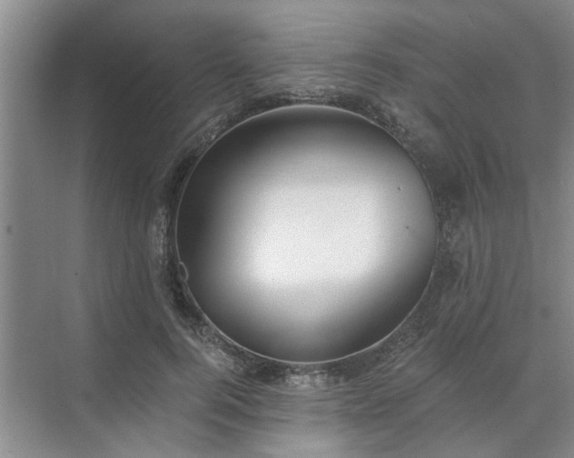 X0000072960744200607282255