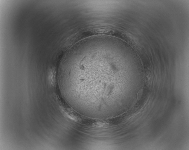 X0000072960745200607282255