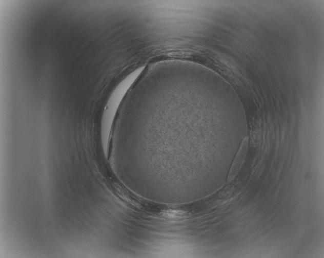 X0000072960748200607282255