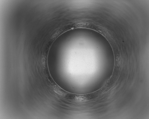 X0000072960753200607282255