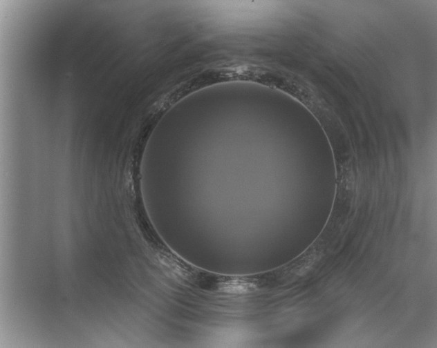 X0000072960754200607282255