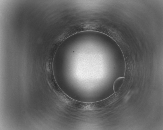 X0000072960755200607282255