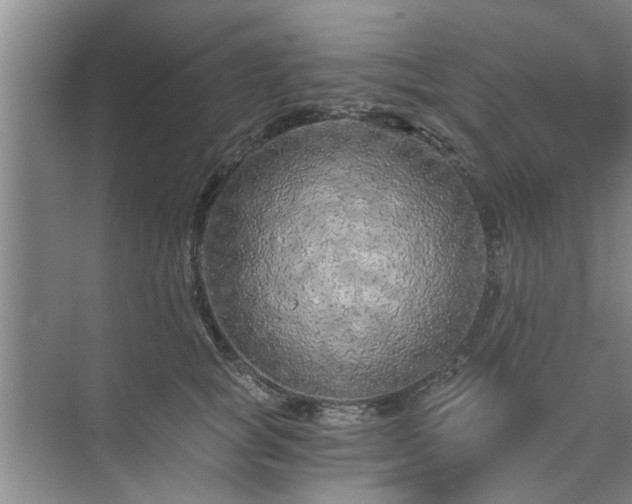 X0000072960757200607282255