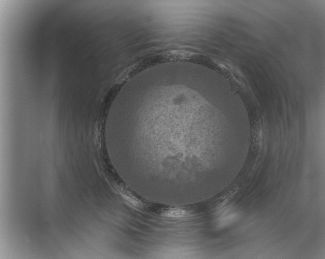 X0000072960759200607282256