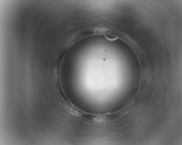 X0000072960761200607282256