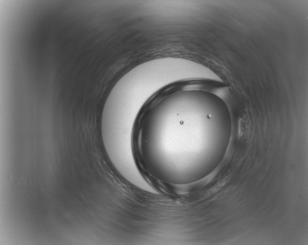 X0000072960762200607282256