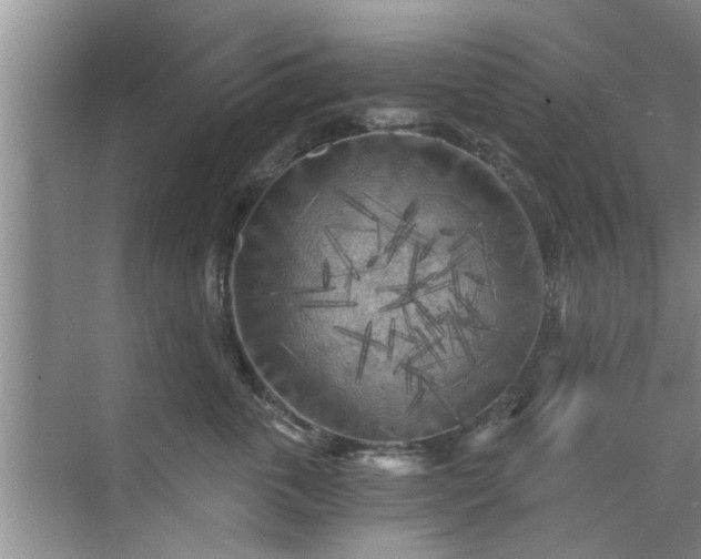 X0000072960763200607282256