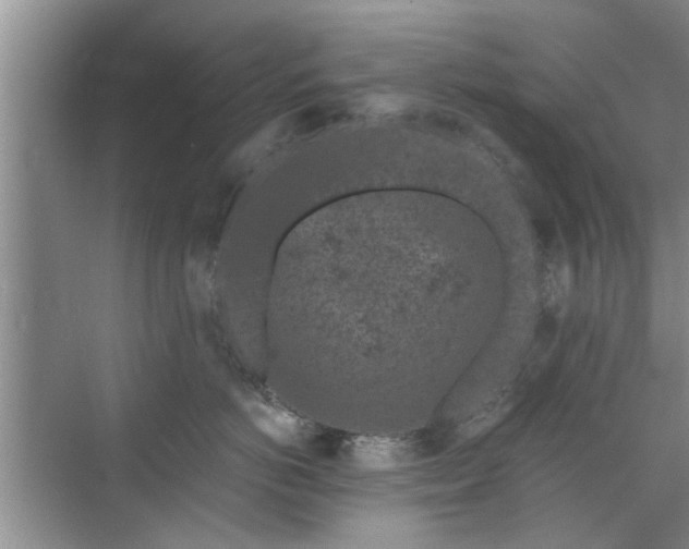 X0000072960766200607282256