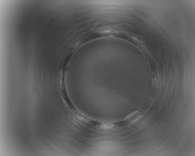 X0000072960767200607282256