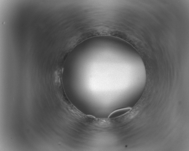 X0000072960768200607282256