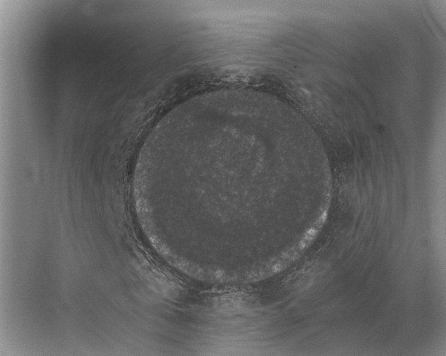 X0000072960769200607282255