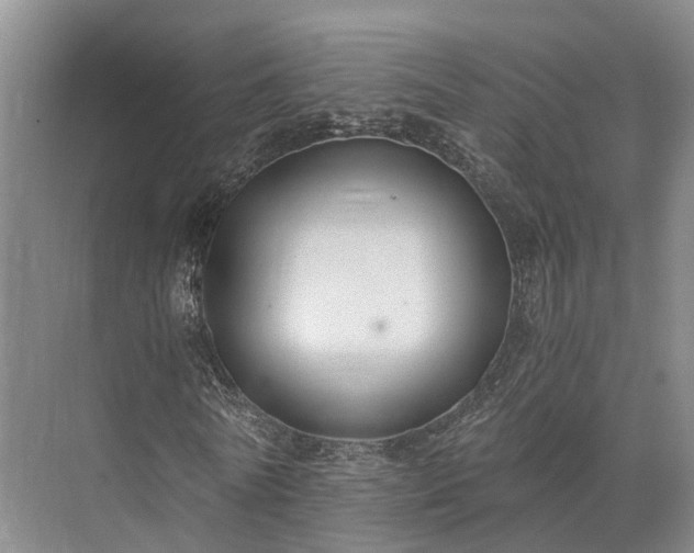 X0000072960770200607282255