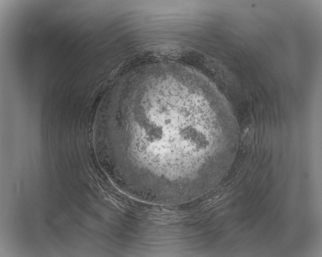 X0000072960772200607282255