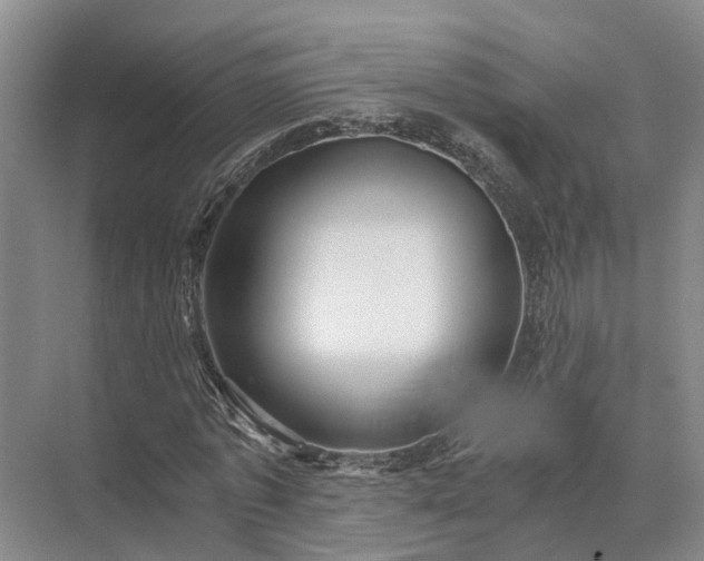 X0000072960773200607282255