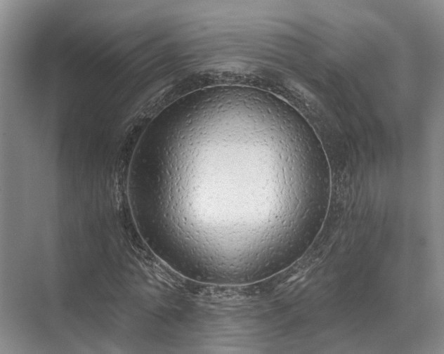 X0000072960774200607282255