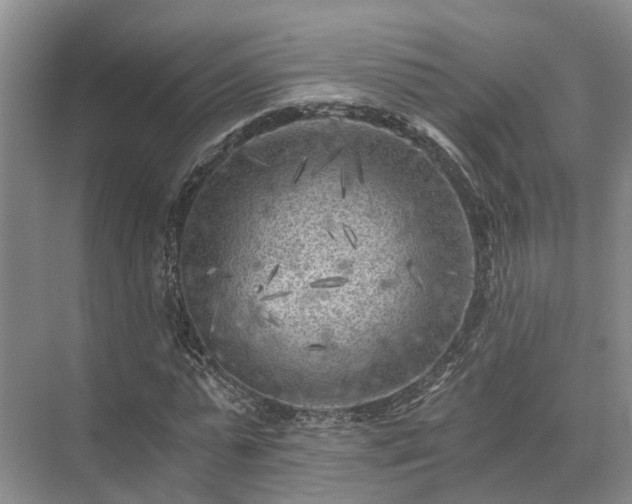 X0000072960775200607282255