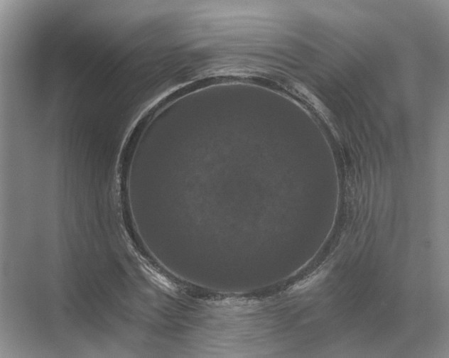 X0000072960779200607282255