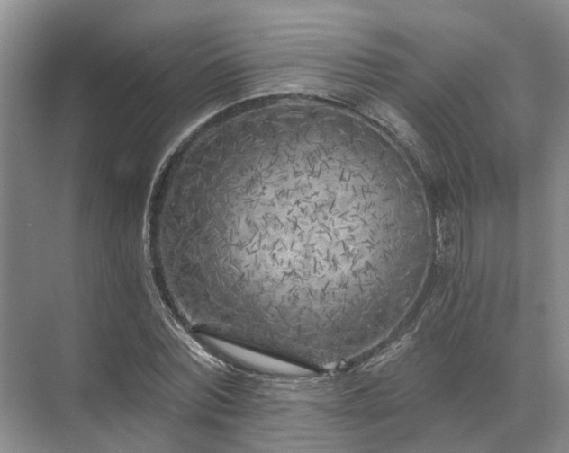 X0000072960780200607282255