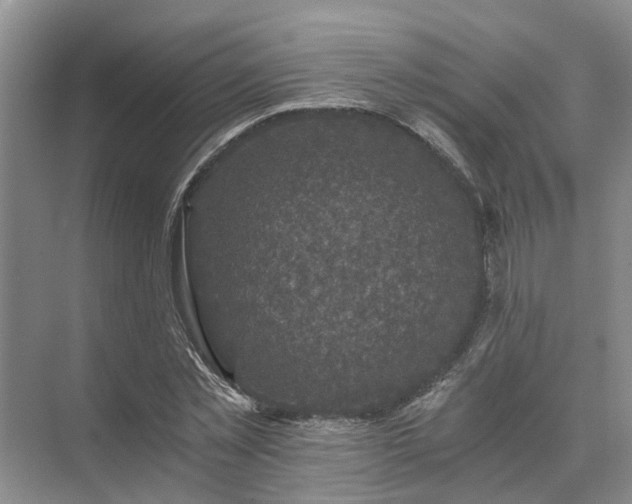 X0000072960781200607282255